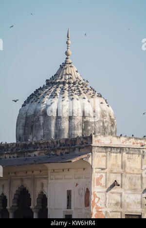 Red Fort New Delhi Indien Stockfoto