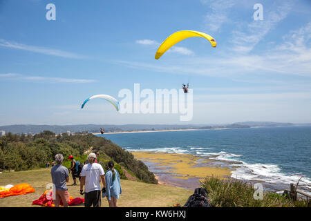 Leute, Paragliding und Drachenfliegen am Long Reef Point, Long Reef aquatische finden, Sydney, Australien Stockfoto