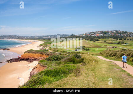 Long Reef Beach und aquatische buchen Northern Beaches von Sydney, Australien Stockfoto