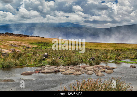 Hippopool in der Landschaft der Ngorongoro Conservation Area, Weltkulturerbe der UNESCO, Tansania, Afrika Stockfoto