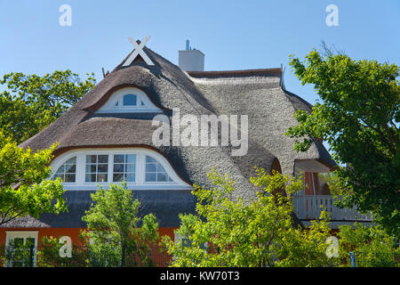 Schöne strohgedeckten Haus im Dorf Ahrenshoop, Fishland, Mecklenburg-Vorpommern, Ostsee, Deutschland, Europa Stockfoto