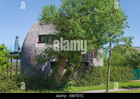 Modernes Design House, strohgedeckte Haus im Dorf Ahrenshoop, Fishland, Mecklenburg-Vorpommern, Ostsee, Deutschland, Europa Stockfoto