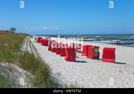 Die Liegen am Strand von Ahrenshoop, Ostsee, Fishland, Mecklenburg-Vorpommern, Deutschland, Europa Stockfoto