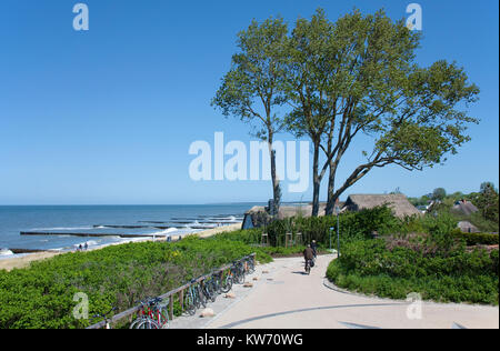 Strohgedeckte Haus an der Küste von Ahrenshoop, Fishland, Mecklenburg-Vorpommern, Deutschland, Europa Stockfoto