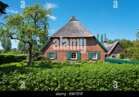 Strohgedeckte Häuser im Dorf, Ahrenshoop, althagen Fishland, Mecklenburg-Vorpommern, Ostsee, Deutschland, Europa Stockfoto