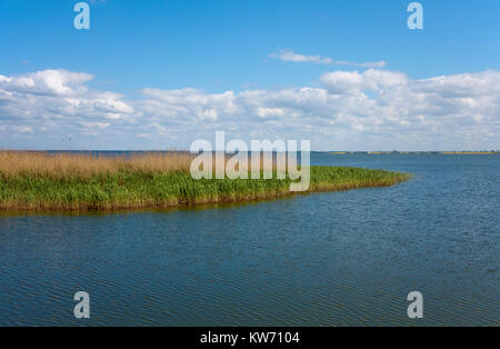 Booden Landschaft am Hafen von Althagen, Ahrenshoop, Fischland, Ostsee, Mecklenburg-Vorpommern, Deutschland, Europa Stockfoto
