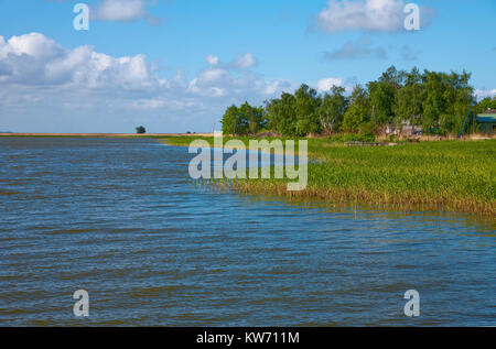 Landschaft am Koppelstrom, Dorf Geboren am Darss, Fischland, Mecklenburg-Vorpommern, Ostsee, Deutschland, Europa Stockfoto