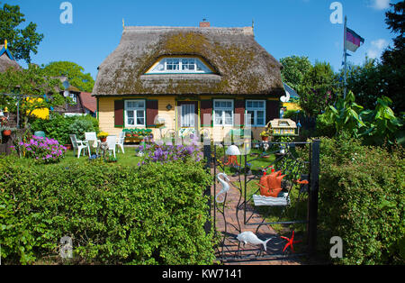 Traditionelle strohgedeckte Haus im Dorf Geboren am Darss, Fischland, Mecklenburg-Vorpommern, Ostsee, Deutschland, Europa Stockfoto