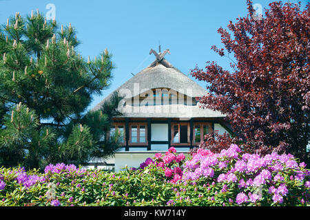 Strohgedeckte Haus in Niehagen, Ahrenshoop, Fischland, Mecklenburg-Vorpommern, Ostsee, Deutschland, Europa Stockfoto