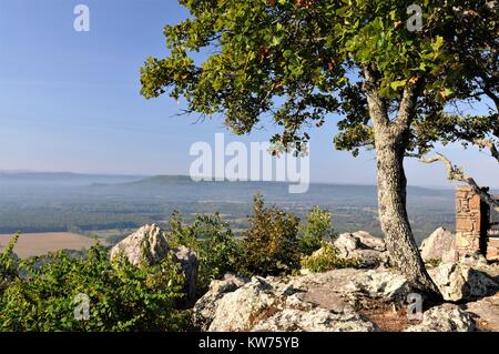 Petit Jean State Park im Petit Jean Grabstätte Stockfoto