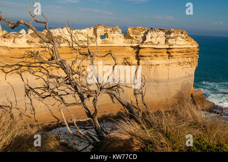 Anzeigen der "razorback", ein Kalkstein Felsformation in der Nähe des Loch Ard Gorge, Port Campbell National Park, Victoria, Australien. Stockfoto