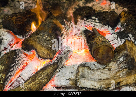 In der Nähe der Eiche im Feuer Stockfoto