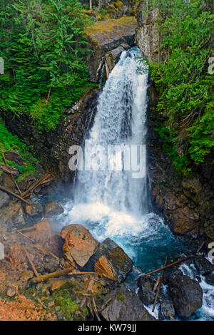 Dame fällt im Strathcona Provincial Park in Kanada Stockfoto