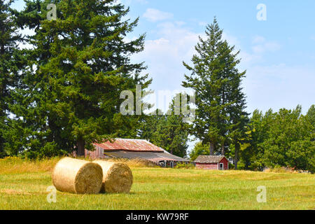 Zwei Heuballen liegen in einer Wiese mit einem großen und einem kleinen Stall im Hintergrund - ein Hauch ein Haus ist über die kleine Scheune. Eine ländliche, Land liv Stockfoto