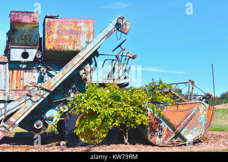 Alten rustikalen John Deere Landmaschinen mit einem wunderschön verwitterten Patina in einem Feld auf dem Land im pazifischen Nordwesten der Stadt, Ferndale, WA Stockfoto