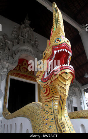 Grosse Schlange Naga in der Nähe von Tempel in Chiang Mai, Thailand, Stockfoto