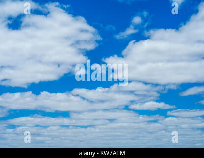 Cumulus Humilis Wolken in einem tiefblauen Himmel. Stockfoto