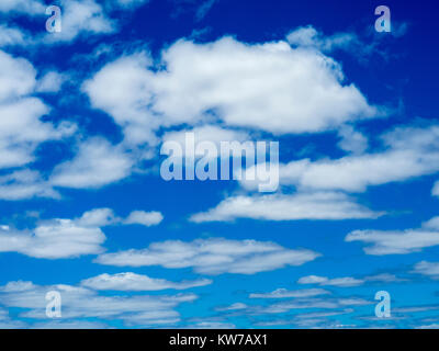 Cumulus Humilis Wolken in einem tiefblauen Himmel. Stockfoto