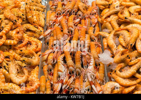 Frische Garnelen zum Verkauf in einen Markt ein, in Madrid, Spanien Stockfoto