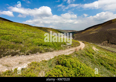 Langden Tal; Forset der Firma Bowland, Lancashire, UK Stockfoto