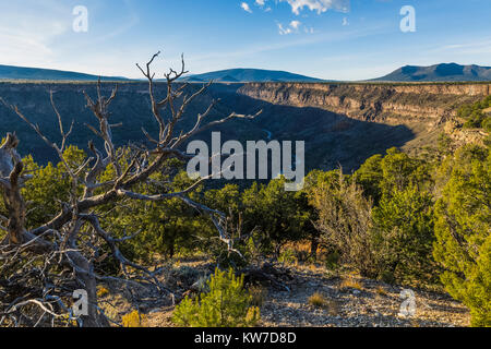 Blick auf Rio Grande Schlucht von La Junta Punkt in der wilden Flüsse Bereich der Rio Grande del Norte National Monument in der Nähe von Taos, New Mexico, USA Stockfoto