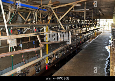 Fischgrat Molkerei Stockfoto