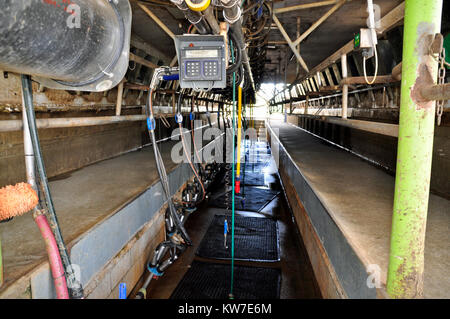 Fischgrat Molkerei Stockfoto