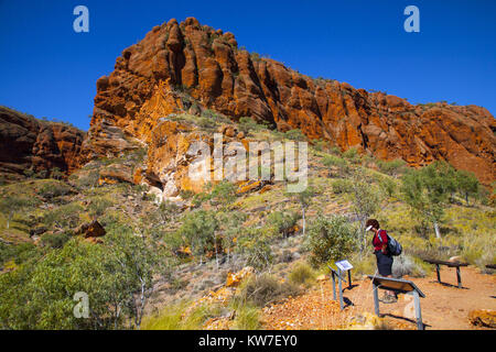 Bungle Bungles, Purnululu National Park, Kimberley, Australien: Die Landschaft des nördlichen Abschnitts der Bungle Bungles. Stockfoto
