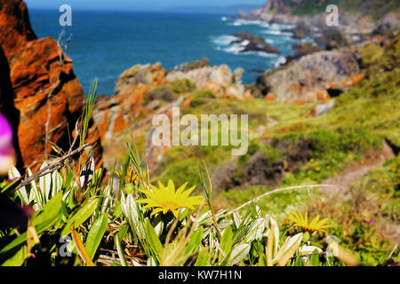 Landschaft entlang der Otter Trail Wanderung an der Garden Route in der südafrikanischen Provinz Western Cape Stockfoto