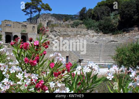 Die archäologischen Ruinen der römischen Theater in der Villa Pollio an Pausyllipon, Neapel, Italien Stockfoto