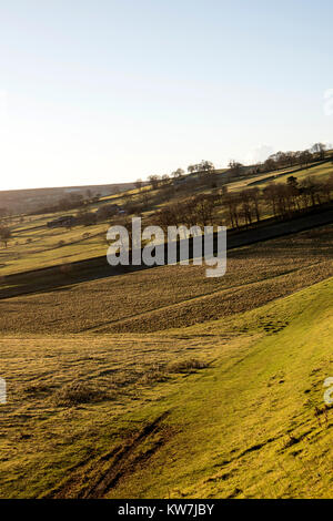 Winter Licht am südlichen Ende der Swinsty Reservoir in der Washburn Valley in North Yorkshire, Großbritannien Stockfoto