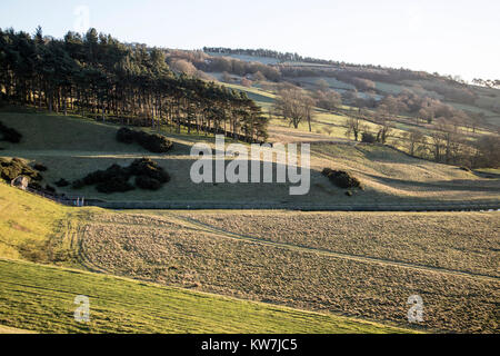 Winter Licht am südlichen Ende der Swinsty Reservoir in der Washburn Valley in North Yorkshire, Großbritannien Stockfoto