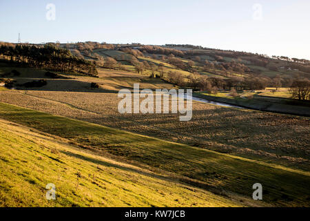 Winter Licht am südlichen Ende der Swinsty Reservoir in der Washburn Valley in North Yorkshire, Großbritannien Stockfoto