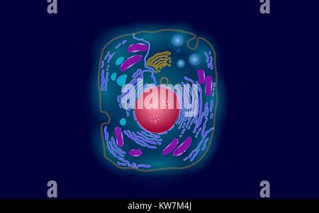 Tier die menschliche Zelle Struktur pädagogischen Wissenschaft. Mikroskop 3d-Kern eukaryotischen Organell Medizin Technologie Analyse. Leuchtende farbige Biologie post Stock Vektor