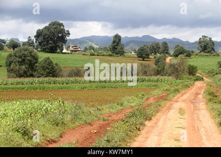 Dirty Roan und cornfield in Shan Staat, Myanmar Stockfoto