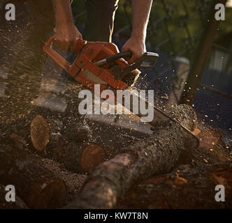 Ein Mann schneiden Baum mit Kettensäge. Stockfoto