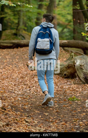 Teenager zu Fuß in einer Holz auf einen Herbst Tag Stockfoto