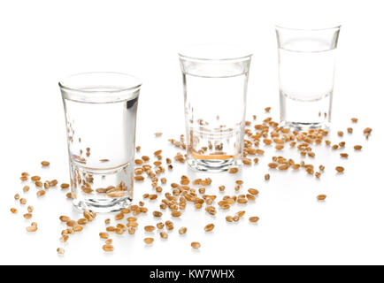 Deutschen Schnaps Korn Schnaps in Shot Gläser mit Weizenkörner auf weißem Hintergrund Stockfoto