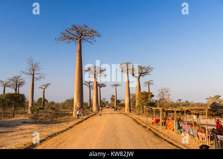 Einheimische einrichten Souvenirstände an Touristen entlang der Allee der Baobabs anziehen. Madagaskar, Afrika. Stockfoto