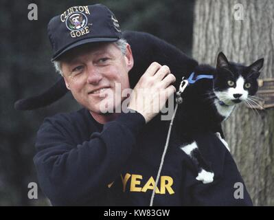 Präsident Bill Clinton, trug pullover Sweatshirt und eine Clinton-Gore-Regierung Baseball Hut, lächelt, während ein Spaziergang am Weißen Haus gründen, die mit der ersten PET-Aufnahme, Socken die Katze, mit schwarzem Fell, weiße und blaue Kragen, der auf seiner Schulter hockte, mit einer Plakette an einen Baum hinter Ihnen, Washington, District of Columbia, 20. Dezember 1993 montiert. Stockfoto