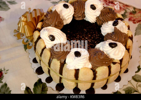 Appetitliche Kuchen mit löffelbiskuits, Schokolade und Sahne Stockfoto