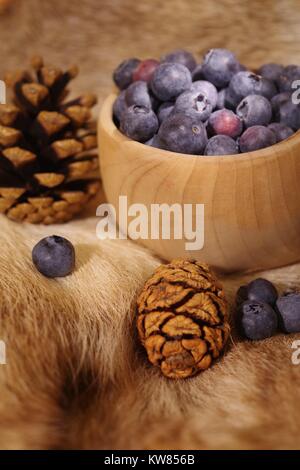 Heidelbeeren im Finnischen Holz- kuksy Schale auf ein Rentier Fell mit Kiefernzapfen. Nordeuropäischen noch Leben. Winter 2017. Stockfoto