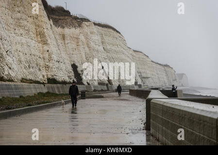 Brighton, East Sussex. 31. Dezember 2017. UK Wetter. Grauer Himmel, starker Wind, Wellen und Zeiträume der sintflutartigen Regenfälle in Brighton am letzten Tag der 2017. Credit: Francesca Moore/Alamy leben Nachrichten Stockfoto