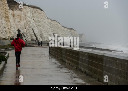 Brighton, East Sussex. 31. Dezember 2017. UK Wetter. Grauer Himmel, starker Wind, Wellen und Zeiträume der sintflutartigen Regenfälle in Brighton am letzten Tag der 2017. Credit: Francesca Moore/Alamy leben Nachrichten Stockfoto