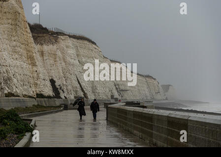 Brighton, East Sussex. 31. Dezember 2017. UK Wetter. Grauer Himmel, starker Wind, Wellen und Zeiträume der sintflutartigen Regenfälle in Brighton am letzten Tag der 2017. Credit: Francesca Moore/Alamy leben Nachrichten Stockfoto