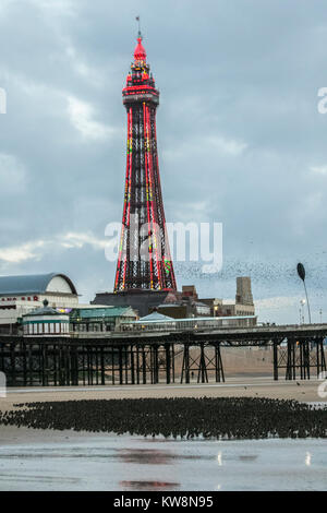 Blackpool, Lancashire. UK Wetter. 31. Dezember, 2017. Staren versammeln sich auf der North Pier in Blackpool in der Abenddämmerung Ansätze. In sehr windigen oder stürmischen Bedingungen diese riesige Massen von Zehntausenden von Vögel versammeln sich an der Küste vor dem Fliegen zu ihren Quartieren in den relativen Schutz der Pier Struktur. Diese Displays sind die Größten der letzten 12 Jahre gesehen, und hohe Attraktivität für Vogelbeobachter in den Bereich. Credit: MediaWorldImages/AlamyLiveNews. Stockfoto