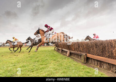 Cambridgeshire, Großbritannien. 31. Dezember, 2017. Cottenham, Cambridgeshire UK zum 31. Dezember 2017. Läufer und Reiter nehmen Teil an der Cambridgeshire Geländeläufer Hunt Club Punkt-zu-Punkt-Rennen. Die kleine, ländliche Pferderennbahn hält Eva Konferenz der traditionellen jedes Jahr wo Reiter in horse racing über Hürden auf der Jagd Pferde konkurrieren. Credit: Julian Eales/Alamy leben Nachrichten Stockfoto