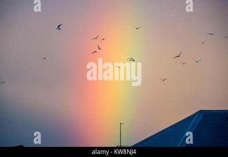 Lancing in der Nähe von Brighton, UK. 31 Dez, 2017. Möwen fliegen über einen schönen Regenbogen, das aussah, als das alte Jahr über Widewater Lagune in Lancing in der Nähe von Brighton am späten Nachmittag nach einem Tag Regen an der Südküste von Großbritannien: Simon Dack/Alamy leben Nachrichten Stockfoto