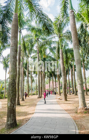 Shenzhen Lianhuashan Park Stockfoto