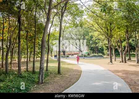 Shenzhen Lianhuashan Park Stockfoto